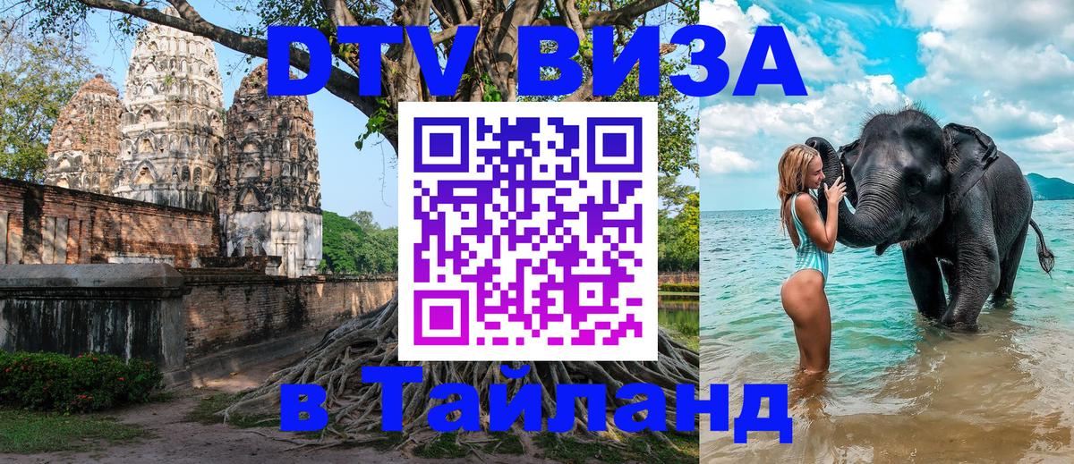 Оформление DTV визы под ключ: стоимость и тарифы, только загранпаспорт - Брянск  18.11.2025 